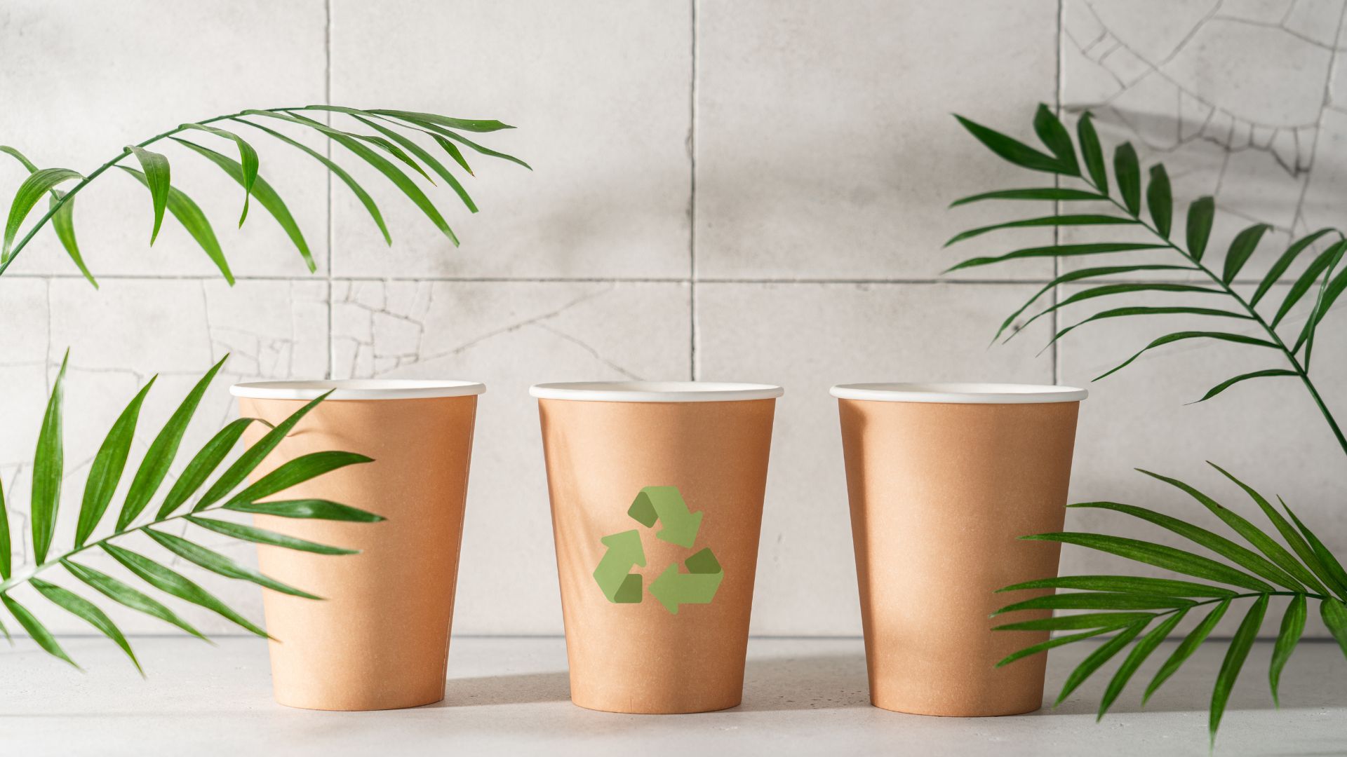 ¿Dónde se reciclan los vasos de bebidas para llevar?